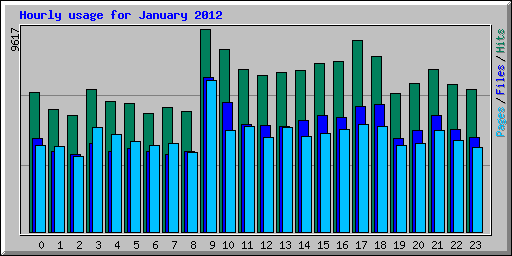 Hourly usage for January 2012