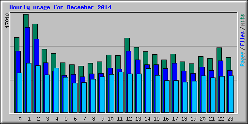 Hourly usage for December 2014