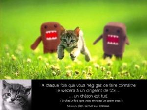 2008-12-04_god-kills-kitten_wecena